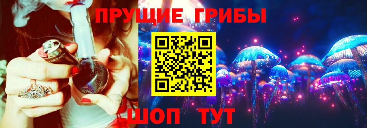 Псилоцибиновые грибы Psilocybe  как найти   Аксай  Вход с VPN  Галлюциногенные грибы прущие грибы 
